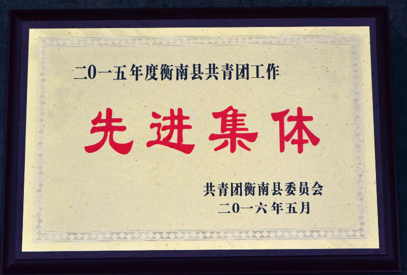 榮譽.JPG